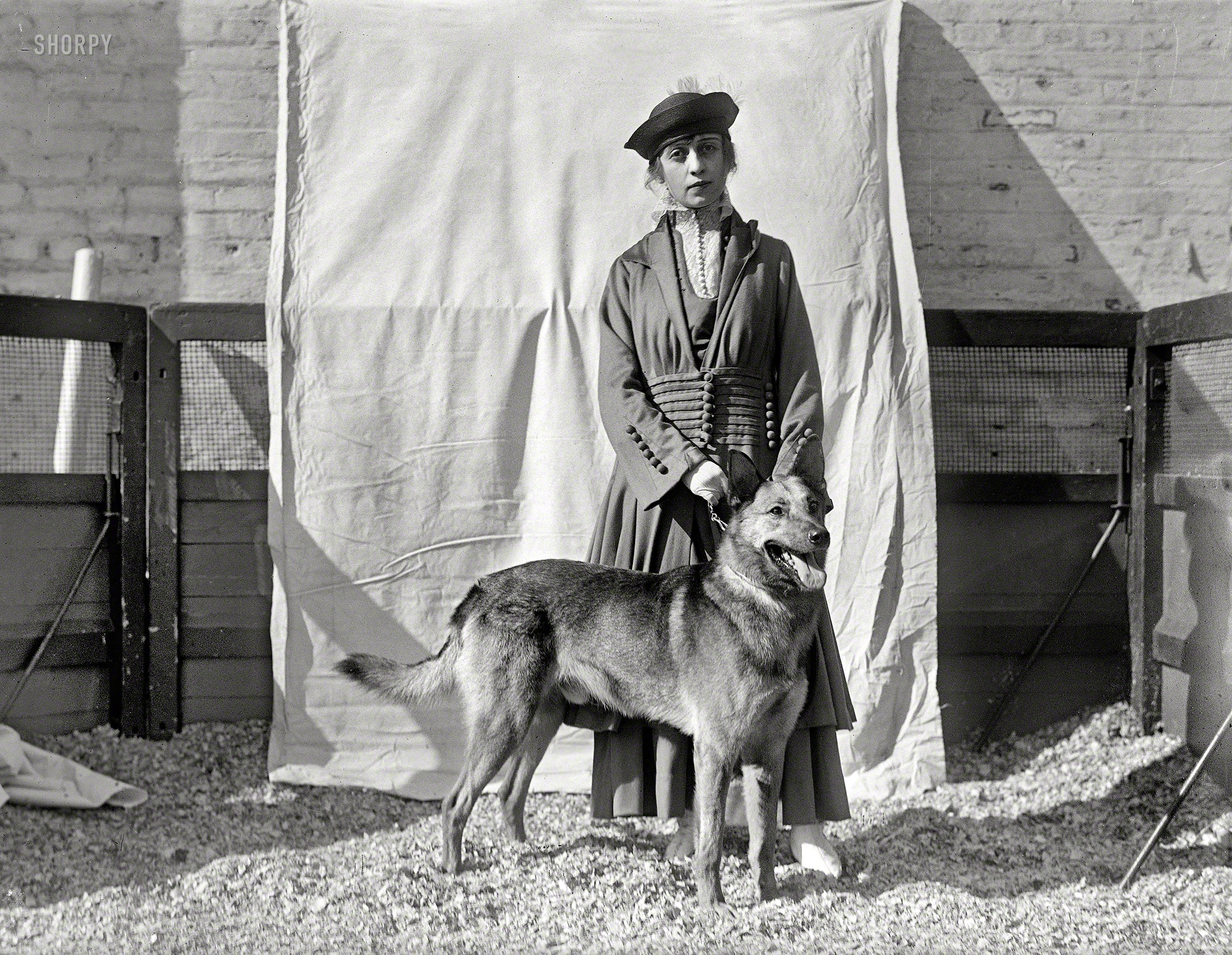 April 1916. "Mme. DeLeon and German sheep dog." The fifth annual Washington, D.C., Kennel Club dog show, at the Riding and Hunt Club. View full size.