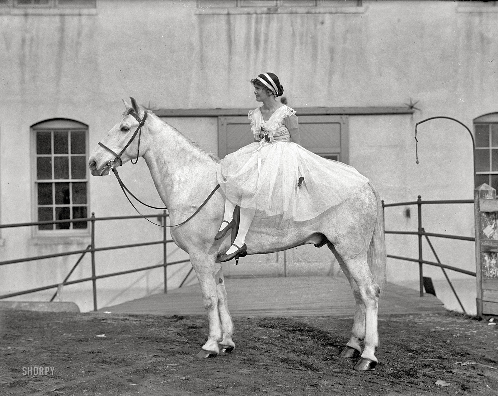 Washington, D.C., circa 1916. "Society Circus -- Ruth Anderson." Presumably on top. Harris & Ewing Collection glass negative. View full size.
