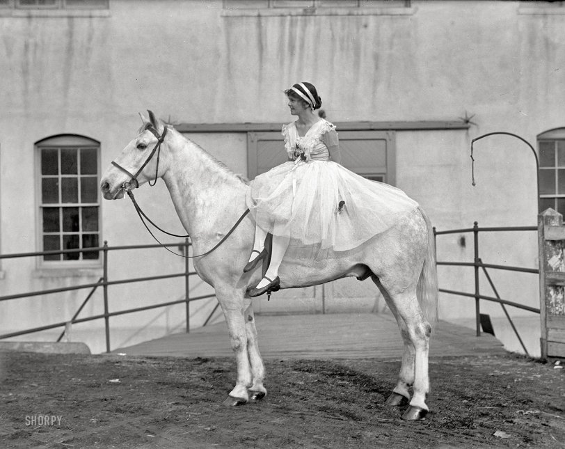 Washington, D.C., circa 1916. "Society Circus -- Ruth Anderson." Presumably on top. Harris &amp; Ewing Collection glass negative. View full size.
