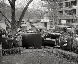 November 1922. Washington, D.C. "Auto wreck." Who'll be first to pinpoint the intersection? National Photo Company glass negative. View full size.
S It IsI have access to a database of DC building permits. All signs point to 1631 S Street NW. The photo of the reinforced concrete frame is showing the side elevation on 17th Street.
Fred H. Gore is listed as builder on 36 building permits between 1921 and 1937. Many of those are small one and two story buildings, only a few are for high rise concrete frame buildings. 
The photo date of November 1922 provided by Shorpy narrows it further. Gore had 3 permits issued prior to November 1922 for a reinforced concrete apartment building:  1925 16th Street NW (permit issued 2/23/22), 1614 17th Street NW (7/1/22), and 1631 S Street NW (8/30/22). All would have been issued with enough time to complete the amount of construction shown in the photo.
1925 16th can be eliminated because it's a midblock building but the photo was taken from the yard of a corner building, which isn't possible for a midblock building like 1925 16th St. 
1614 17th Street NW can be eliminated because, although it's near a corner, it's between 2 Victorian buildings that would have appeared in the photo.
1631 S Street NW wins by process of elimination. It's across from a rowhouse at the southwest corner of 17th and S streets. In the photo, the land to the left (north) is vacant and the building to the north of 1631 S Street is an art deco apartment built in 1940, so that matches. 
If you look closely at the ground floor of the concrete frame on the right, you can see that they've begun to lay up the veneer brick and set in the stone window frame for a double window with a mullion between. This detail matches the window style of 1631 S Street NW. But then again, it also matches the detailing on 1614 17th St; both buildings are the same style and within 3 blocks of each other on 17th.
The ShelburneThe Shelburne apartments are at the northeast corner of 17th and &nbsp; Q &nbsp; S Streets NW. Completed in 1923.
[1631 S Street. Also known, over the years, as the Shelbourne. - Dave]
Oops, yes my bad: S street. For years, 17th and Q was where we went drinking.
View Larger Map
Camera vs. tipped carI count 15 people staring directly at the camera, including the five kids in the front row of the pack in the lower left.  In the competition for the crowd’s attention, the camera pulls away a goodly number from the chief attraction: the tipped car in the road.    These people have no idea that in 92 years, most members of the crowd would be holding up palm-sized rectangles, photographing each other, themselves, the car, then magically sending these images off into the ethereal data warehouse of words and pictures to be shared by millions of strangers.
14th and G StAcross the way the address appears as 1410 G Street.
[That's contractor Fred Gore's business address. Next guess? - Dave]
Fred H. GoreOn page 28 of the June 24, 1922 issue of American Contractor, under "Big Project Construction News":
Contracts Awarded:
Project: Apt. Bldg.
Valuation: $150,000
Location: Washington, D.C.
General Contract to: Fred H. Gore, 1410 G St, N.W.
-- but that's the address of the builder, not the photo location.
From what I found, I think it&#039;s17th and S Streets NW
Edit: More info here:
Contracts Awarded
Apt Bldg 64 fam $150,000 8 sty
&amp; bas 60x80 17th &amp; S sts NW Archt
Frank Russell White 1410 G St NW
Owner AJ Howar 1111 F St NW Brk
Gen contr &amp; carp let to Fred H Gore
1410 G St NW Gen contr taking bids
on sep contrs 
From the 6/24/22 edition of The American Contractor, bottom of page 60.
http://books.google.com/books?id=Z_tYAAAAYAAJ&amp;pg=RA12-PA60&amp;img=1&amp;zoom=3&amp;...
Tough OneIt looks like it might be Constitution Avenue near the Mall, but it could be McPherson Square. 
Don&#039;t know the addressBut I do know that if I was in business back then, I'd be in the hat business.
Possible project locationFrom The American Contractor, Vol 43, 1922:
Contracts awarded
Apt House (48 apts.):  $100,000.  17th &amp; Q sts., N.W. Archt Frank Russel White, 1410 G st N.W. , Owner C.F. Foley &amp; F.R. White, 1410 G st N.W.,   Brk &amp; t.c. Gen contr. let to Fred H. Gore, 1410 G st N.W., Gen. contr. taking bids on sep. contrs,
All involved had offices together ,how convenient.
Car IDCar in middle with dogbone shaped rear window frame (which matches emblem) is a Chandler.
Before safety glass, seat belts and air bags-Accidents which now would be considered fender-benders were frequently lethal, especially in cases involving ejection from the vehicle. With their high centers of gravity, cars of the early 1920s seem so vulnerable to tipping over.
American Rolls , ( Royce ) I believe it is a Locomobile Model 48 touring car .. Probably fairly new at the time , a 1920 ?? , Hard to say as they did not change much but the weather protection seems new and the paint is very shiny ( even though it had been raining ... ) 
Here is some info off the webs... 
Locomobile was known for building some of the finest automobiles, and was considered to be the American Rolls-Royce.
In 1911, the renowned 525 cubic-inch, T-head, six-cylinder Model 48 was introduced. It would remain in production until 1924.  A four-speed transmission was used and the car could cruise at 55 mph on the occasionally encountered truly good road.
Octagonal shapes, such as the lamps and instruments, were a common theme for Locomobile and helped to differentiate it from other cars
English BuiltFrederick Henry Gore was born in Blean, Kent, England on August 30th 1882 the son of Robert and Sarah H.
On August 22nd 1903, he arrived at Ellis Island and on November 24th 1909 he married Ida C Price b July 1888 in Samuel Miller Township, Virginia.
They had 3 children Hilton (1913-2003), Mary A (1925-?), and Frederick Jnr (1928-?).
Frederick Snr died on November 23rd 1930, and Ida died in August 1973.
Whats going on with the site?There havent been any updates in months. anyone know why or whats going on? I love this site and would hate to see it go dormant.
[Something is wrong on your end; several photo are added each day, more than 500 since this one. -tterrace]
(The Gallery, Cars, Trucks, Buses, D.C., Natl Photo)