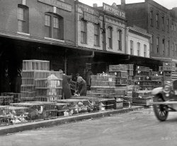 Washington, D.C., 1923. "Louisiana Avenue market." And our second glimpse of the Globe Broom Factory. National Photo glass negative. View full size.
Many Chickens Die


Washington Post, November 3, 1917.

Many Chickens Die in 3 Alarm Fire


Krey, Price &amp; Co., Burned Out
&mdash; Big Crowd at Blaze. 


Several thousand pedestrians in the downtown section of the city witnessed a spectacular blaze, which destroyed the business establishment of Krey, Price &amp; Company, produce commission merchants, at 933 Louisiana avenue northwest, last night shortly after 9 o'clock.

The fire was discovered by Policeman L.C. Davis and John Everett, a watchman. In a short time eleven engines were pumping water to extinguish the blaze. Within twenty minutes Fire Chief Wagner announced that the blaze was under control.

After the fire was out firemen brought out four coops of chickens, many of the fowls being still alive. Others were killed by the smoke or water. Damage to the stock of Krey, Price and Company is estimated at $500, covered by insurance, while the loss on the buildings is estimated at $1,900.

(The Gallery, D.C., Natl Photo, Stores & Markets)