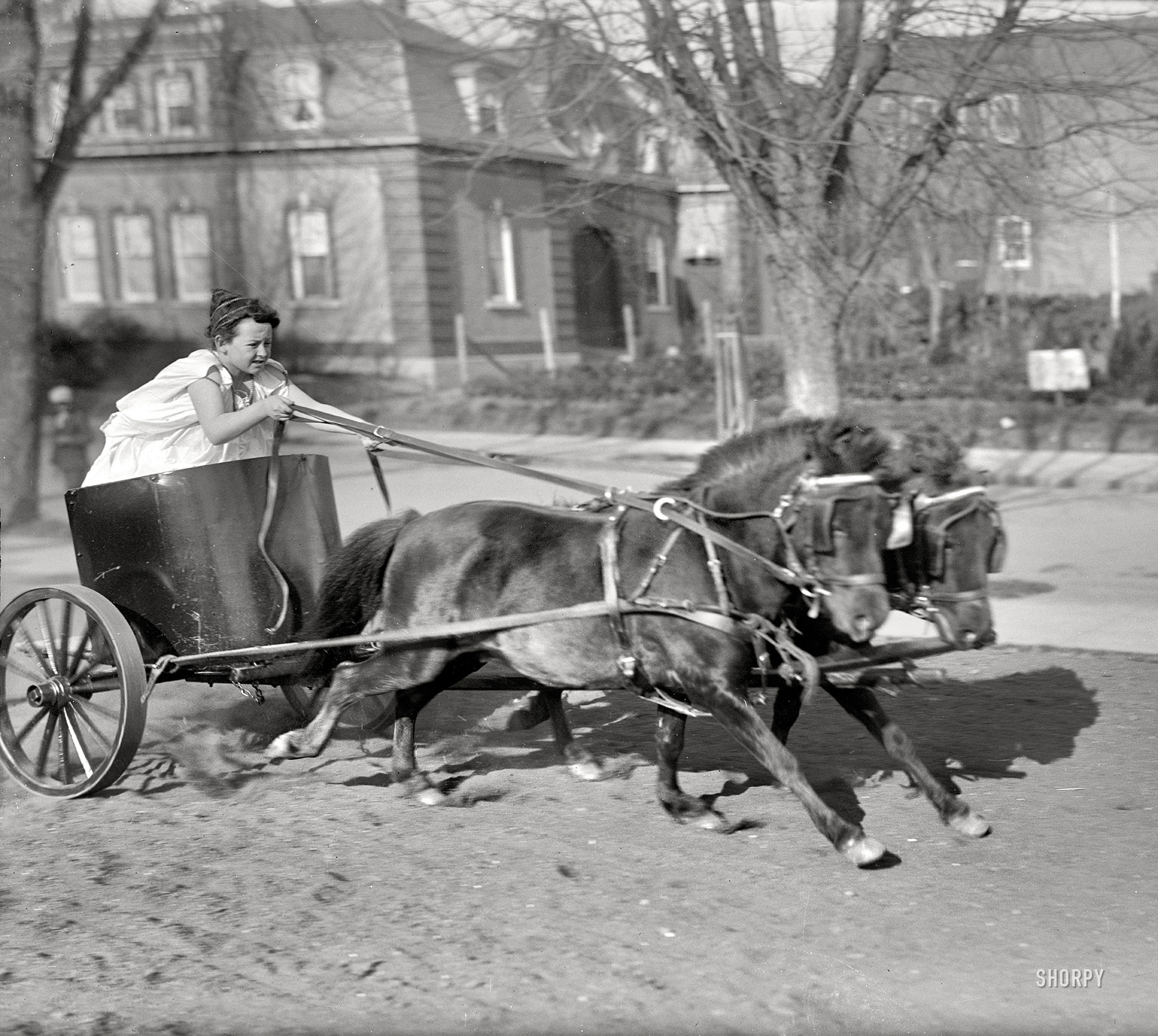 Washington, D.C., circa 1917. "Devereux child in chariot." Late for the toga party. Harris & Ewing Collection glass negative. View full size.