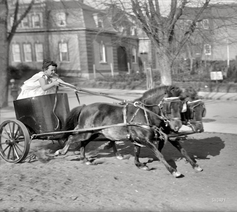 Washington, D.C., circa 1917. "Devereux child in chariot." Late for the toga party. Harris &amp; Ewing Collection glass negative. View full size.
