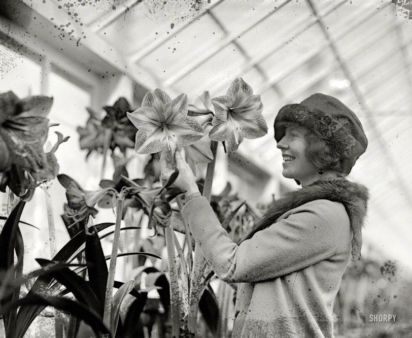 March 14, 1923. "Mary Wallace." Daughter of Agriculture Secretary Henry Wallace. National Photo Company Collection glass negative. View full size.
