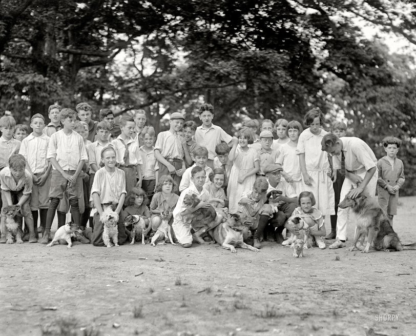 July 11, 1923. Washington, D.C. "Montrose playgrounds." Who is top dog? National Photo Company Collection glass negative. View full size.
