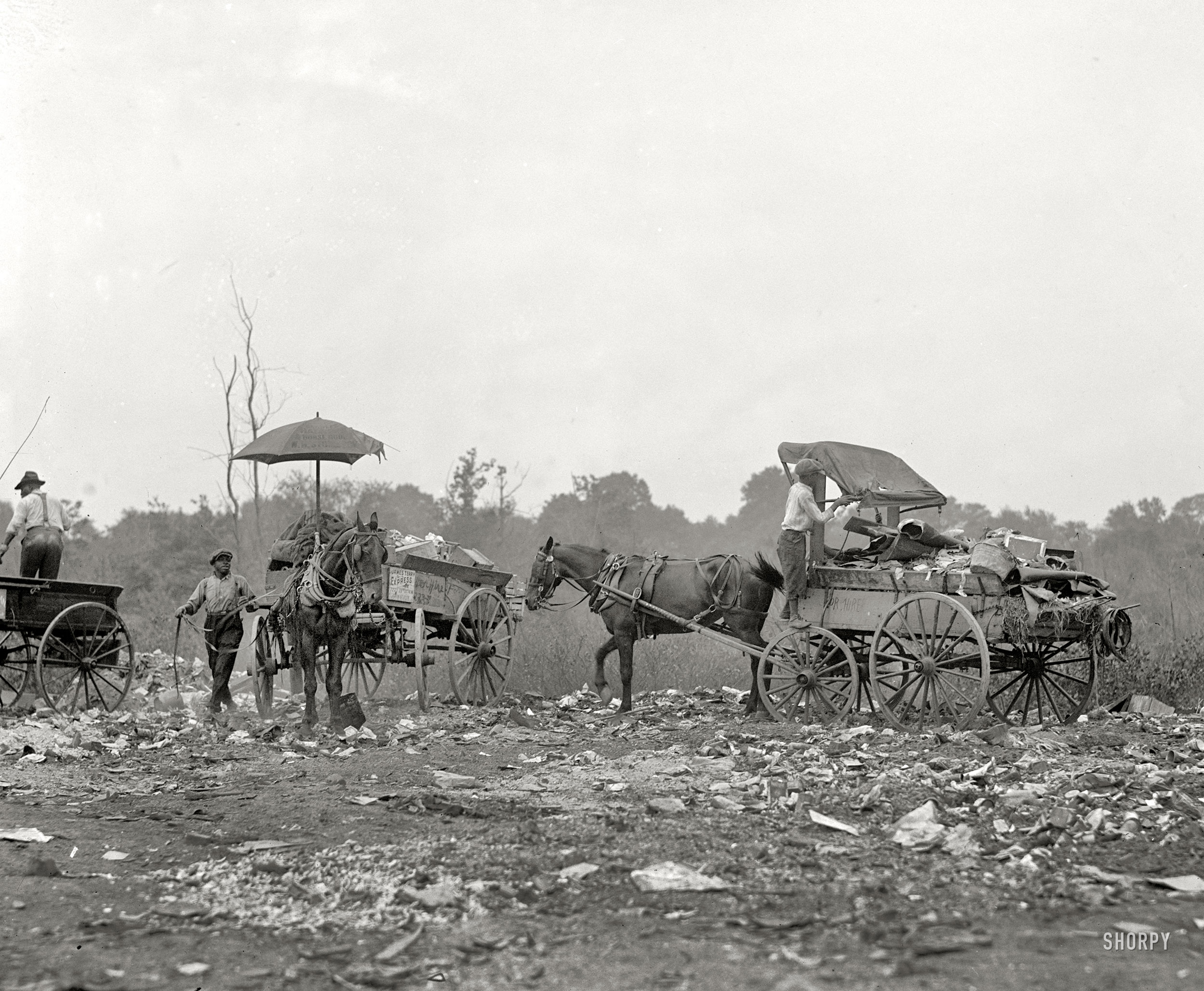 Washington, D.C., 1923. "Dump story." Wagons for hire; James Terry Express on the left. National Photo Company Collection glass negative. View full size.