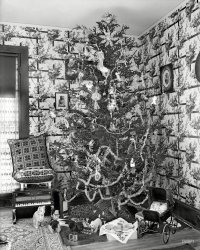 Washington, D.C., circa 1910. "Harris, Martha. Christmas tree." The home of Harris & Ewing co-founder George Harris and wife May, with presents for daughter Martha. Harris & Ewing glass negative. View full size.