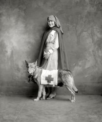 Red Cross Dog: 1917