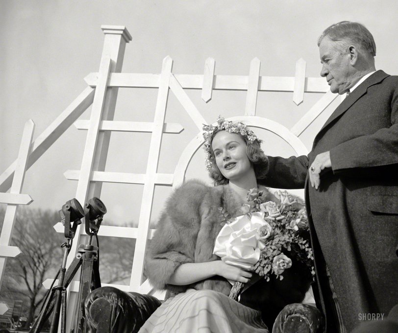 March 31, 1939. Washington, D.C. "Senate Majority Leader crowns Cherry Blossom Queen. Climaxing the annual Japanese Cherry Blossom Festival in Potomac Park today, Senate Majority Leader Alben W. Barkley placed the crown on the head of Peggy Townsend, Cherry Blossom Queen. Thousands of visitors view the beautiful blossoms every year." Harris &amp; Ewing photo. View full size.
