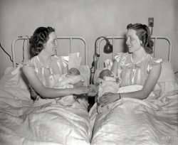 April 7, 1939. "Twins become mothers together for second time in less than two years. Accustomed to doing practically the same things all their lives, these Washington twins, now mothers, have apparently decided that having their children together would certainly be in order. The mothers, Mrs. Eileen Moon, left, and Mrs. Kathleen Robie, last week gave birth to daughters to set a new record at Columbia Maternity Hospital. Mrs. Moon's youngster, whom she named Carol, was born on March 29, while Mrs. Robie's new daughter Nancy Lee first saw the light of day on April 1. This same thing happened in July 1937 when Mrs. Robie gave birth to a girl and a few hours later Mrs. Moon's baby, a boy, arrived." Harris &amp; Ewing Collection glass negative. View full size.
Planned ParenthoodNot to get too personal, I assume there are husbands involved here. Timing has to come into play, scorecards and other informational materials. Communications between the 2 couples had to get more than a little up close and personal. Coincidence might have happened in 1937 but again 2 years later is a stretch.
Lynch pinsThankfully, their family members have created two records that shed light on what came before, and after, this moment. One is an online slideshow, which focuses on the mothers' birth in 1919 to Abel and Jessie Lynch of Tennessee.
The other is a comprehensive online Lynch family tree.
What are the odds....I was catching up on my backlog of Shorpy photos when this one came up.....  My mom is the baby on the right, and I wrote the story on Treelines that was cited in the first comment!  The internet sure makes this a very small world.  For more on the Lynch family, see my blog posts here.
And as for Mr. Mel's comment -- the twins lives were so intertwined that "coincidence" was a daily experience.  If you ever have the good fortune to know identical twins, then you will realize that such a confluence of events is not at all unusual.
(The Gallery, D.C., Harris + Ewing, Kids)