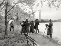 &nbsp; &nbsp; &nbsp; &nbsp; A post for the first day of spring, and the start of the National Cherry Blossom Festival. Commence sketching and shooting!
April 7, 1922. Washington, D.C. "Photographers shooting cherry blossoms at Tidal Basin." National Photo Company Collection glass negative. View full size.
If I didn&#039;t know any  better...I'd swear I have a print from this same photo session hanging on my wall! I wonder from whose camera it came---all I know is that it was a mass-produced tourist-y piece of kitsch that used to be hand-colored---obviously the sun has taken its toll.
(The Gallery, D.C., Natl Photo)