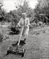 The caption label has fallen off this Harris &amp; Ewing glass negative, so we can invent our own: "Circa 1930s. Possibly notable lady trims lawn in or around Washington, D.C., with Ajax Ball Bearing reel mower." View full size.
Oh What FunNext time my grandson complains about having to cut the yard with the riding lawn mower, I will just show him this photo.  I spent a good bit of my youth pushing one around just like this.
I&#039;ve got a better caption"An ancient instrument used to torment young boys on glorious summer afternoons."*
*In case you haven't guessed, I was one of those boys.  
All Dressed Up and Nowhere to MowOkay, she has a place to mow, but why so dressed up? Trying to get it mowed before church?
[Once upon a time, in the dim, distant past, this would not have been considered especially "dressed up." -Dave]
I&#039;m not sure about the dressiness of thisI have to agree with scoobylou. This is staged.
[Photos from Harris &amp; Ewing, a professional photographic studio, aren't casual family album snapshots, but work contracted for by clients, who could include businesses, advertising agencies, newspapers as well as individuals. - tterrace]
Modern ChoicesModern reel mowers are easy to push but cheat by skipping over hard-to-cut grass, leaving uncut areas.
The old reel mowers didn't skip anything.  The wheels just locked up in hard-to-cut grass.
I cut my acre of lawn with an Austrian scythe, which is easy with any kind of grass, long or short, but it has to be a hobby.
Alive and still kicking'Push reel mowers' are still sold today. I used one as a kid in the 1980s, and being a proper hipster, bought one when I owned my first home, studying the cutting edge features in reel mower technology and importing an ultra-light model from Germany. But being a proper hipster, I found I didn't like breaking a sweat and just wasn't up to the task like elderly iron ladies of the roaring twenties.
I agree with Olde BuckBoy did I hate to cut grass with one of those. 
Woe be it to the person who let the grass get too long before they cut it. I actually saw a new one of these on sale at Home Depot the other day, I quickly ran the other way.
The first power mower I can remember in the neighborhood was a reel mower similar to this with a Briggs &amp; Stratton engine on top of it with a belt drive to the wheels.
Husband says:"I don't know why she complains, I bought her an Ajax."
The Rolls Royce of Push MowersMy parents moved into their first new house in Detroit in the winter of 1952.  The following spring they seeded their new lawn.  My Dad splurged for a top of the line Montgomery Ward push mower with a grass catcher.  It was white, sported hub caps on the rubber rimmed wheels and purred like a kitten.  It had a ball bearing clutch assembly in the wheels so you could pump it back and forth and really get the 5 blades spinning.  Other neighbors were still using the old all steel mowers like the one in this post.  I longed for the day when I could use the mower.  It was my first lesson in "be careful what you wish for".  I was soon shackled to the mower for several years.  I accepted my fate and soon appreciated how quick the mower was if the grass needed a light trim without the catcher.  Long grass which needed the catcher was another story.  Back in those days most hardware stores sharpened push mower blades for a few dollars. There was a fixed straight blade on the bottom of the mower and each of the five movable curved blades swept the fixed blade similar to how scissors cut.  A special jig was needed to sharpen the curved blades.  The attached picture of me and my inherited mower was taken in 1957 with my Brownie Hawkeye box camera by Kodak.  It used size 620 film.  Is surprising how such details stick with you.  
If she swore at all, she&#039;d swear by her lawn mower"Beloved contralto Angelina Wilhelmina Kristall-Zertrümmern at home in her garden. Her neighbors often enjoy an impromptu performance, as Madame keeps her diaphragm fit by vocalising as she pushes her lawn mower."
A &quot;Reel&quot; Character BuilderAs a boy I also used one of those all metal push mowers until my Dad puchased a top of the line "Silent Scotts" push mower with a grass catcher. What an improvement!  I thought I died and went to heaven.  I saw one at a yard sale a few years back and promptly bought it.  It's a still great mower to have in reserve.
When I was old enough I graduated to a power reel mower exactly like the one mentioned previously.  It did not have a single safety feature, but I still managed to keep all my fingers and toes. Go figure.
Someone&#039;s AuntI don't know who the lady is but I think that I would like her. She looks so much like any of my old Aunties when I was only a few years old in the early 40s. The ones that baked peanut butter cookies, chocolate cake, made real lemonade, and always had a hug when it was needed. We would sit in the porch swing in the evening and watch the lightning bugs during the summer. Sometimes we might even have homemade ice cream.
(The Gallery, D.C., Harris + Ewing)
