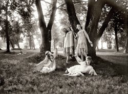 Washington, D.C., circa 1924. "Dancers." Welcome to the Stevie Nicks Day Camp for Girls. Harris &amp; Ewing Collection glass negative. View full size.
Ah, the daysof the cheesecloth shift.
BeautiesThose are some of the prettiest girls I've ever seen on Shorpy!
What they had in mindThose engaging in such frolics in the park were often thinking of one Isadora Duncan, although the expressions we see on these proto-hippies suggest some are unclear on the concept.
At any rate, here is possibly the only surviving footage of Isadora doing her thing at a garden party at the time of her greatest fame.  The movie clip seems silly, but a quick google will return a number of Isadora stills that suggest something far more impressive.
http://www.youtube.com/watch?v=gRwdhf72fm0
&quot;Wild Heart&quot;Singly and collectively. Each and every one a Wild Heart--like Stevie and like ME!!
(The Gallery, D.C., Harris + Ewing)