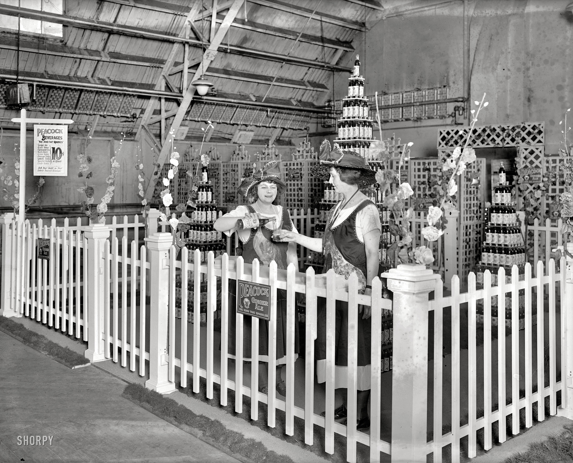 February 1922. Washington, D.C. "Food show -- Peacock exhibit -- Mrs. Julian E. Carabillo." Hollyhocks, peacocks and hens at the Retail Grocers Protective Association exposition at Washington Convention Hall. View full size.