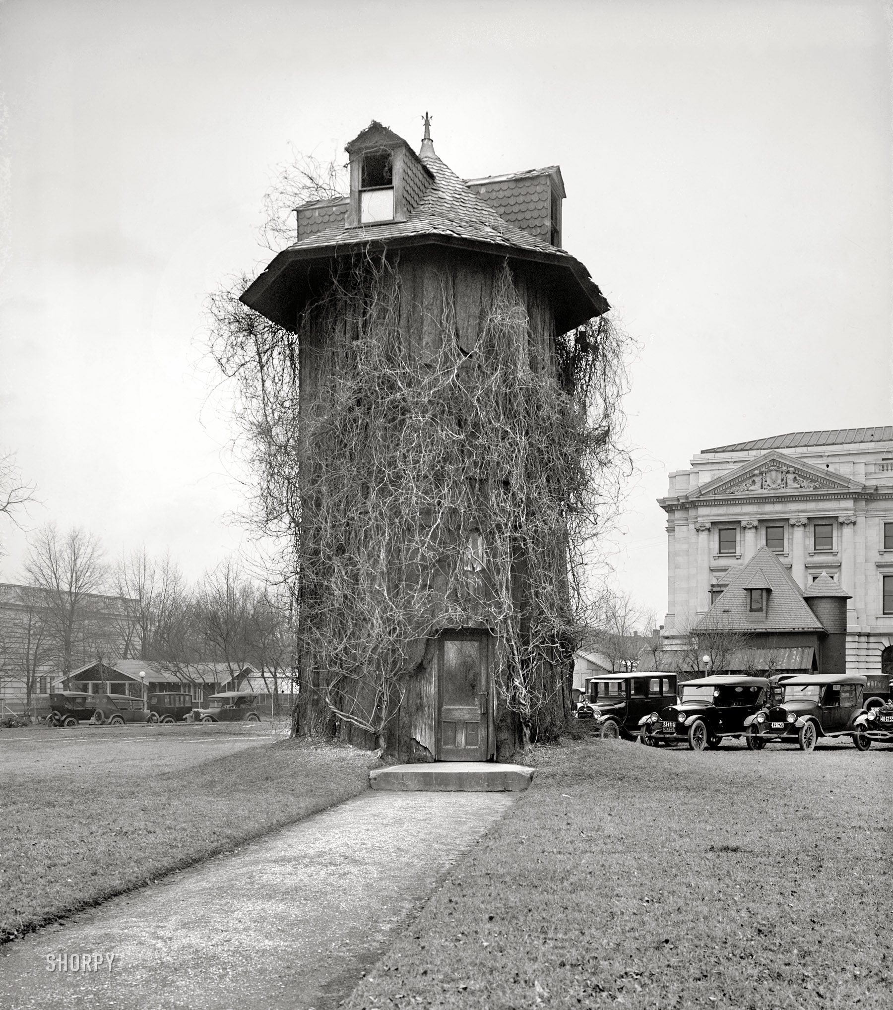 Washington, D.C., 1923. All it says here is "Dept. of Agriculture." Back when the place was run by the Keebler Elves. National Photo Company. View full size.