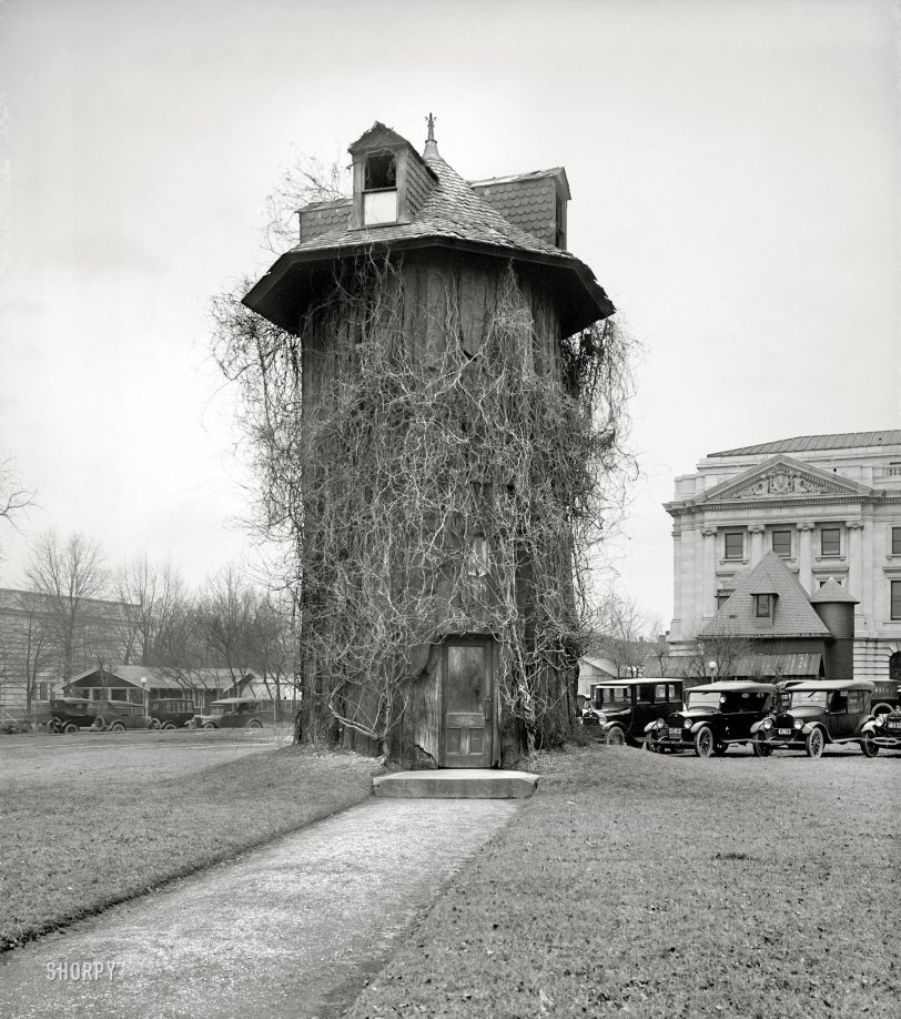 Tree House: 1923