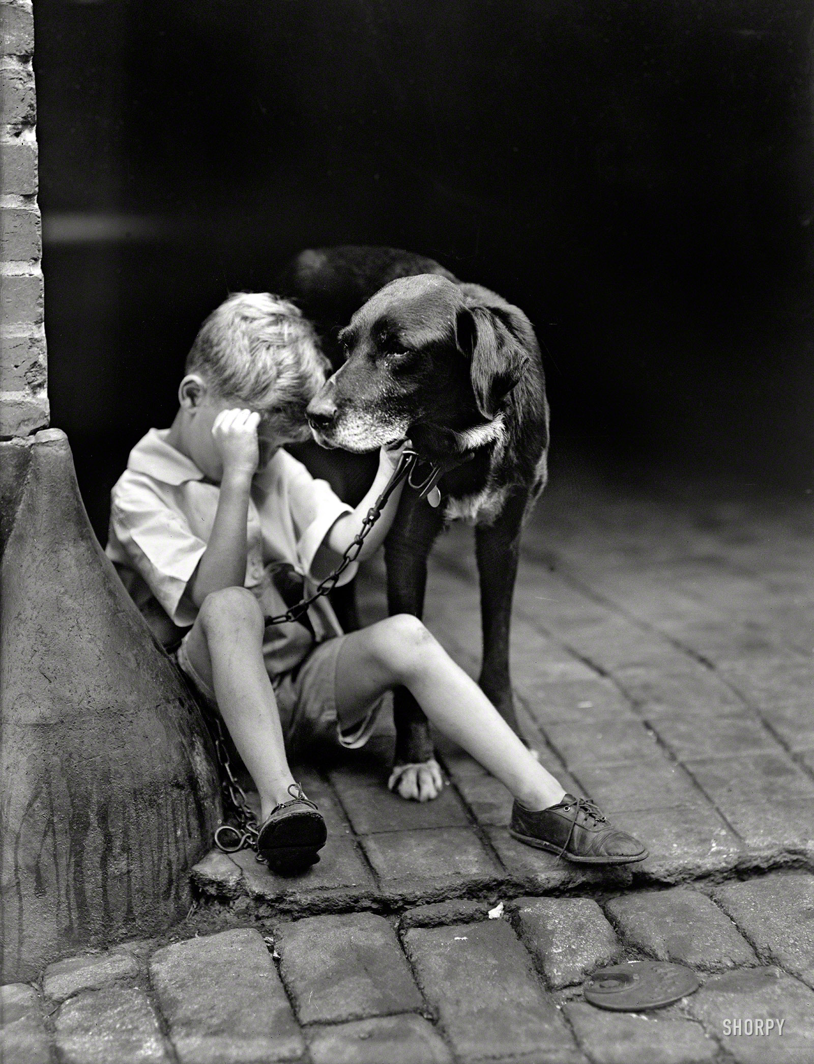 Washington, D.C., circa 1922. "Boy and dog." Feel free to construct your own narrative. Harris & Ewing Collection glass negative. View full size.