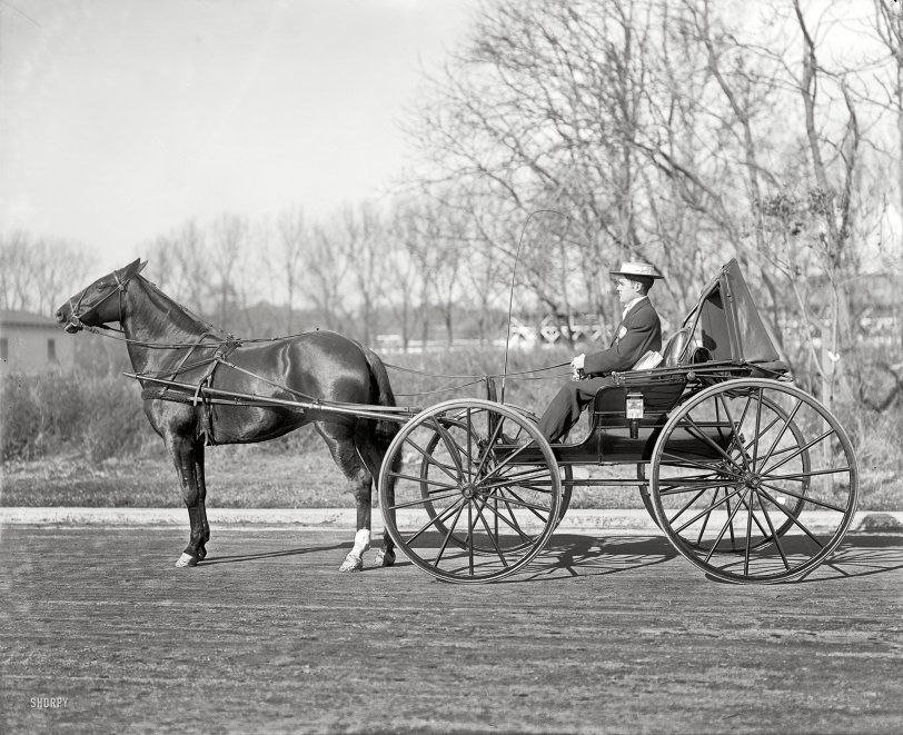 Washington, D.C., circa 1921. "Brodt horse." A fine-looking rig, ready for courting or calling. National Photo Company Collection glass negative. View full size.
