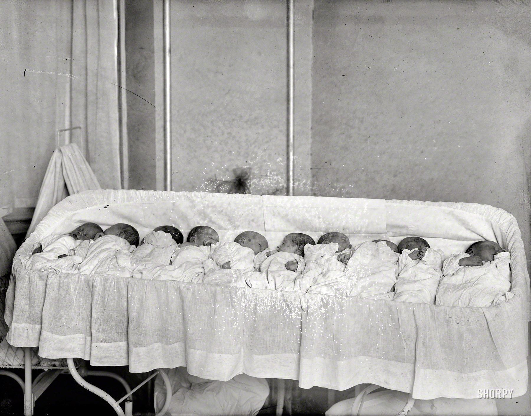 Washington, D.C., circa 1925. "Sibley Hospital babies." Now what did we do with that box of cigars? National Photo Company glass negative. View full size.