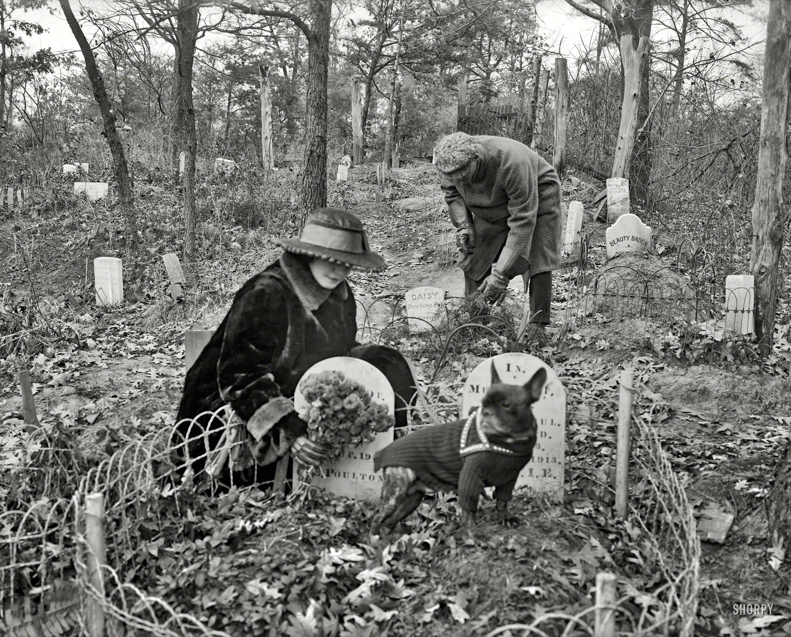 Washington, D.C., circa 1926. "Dog cemetery." Intimations of canine mortality. National Photo Company Collection glass negative. View full size.