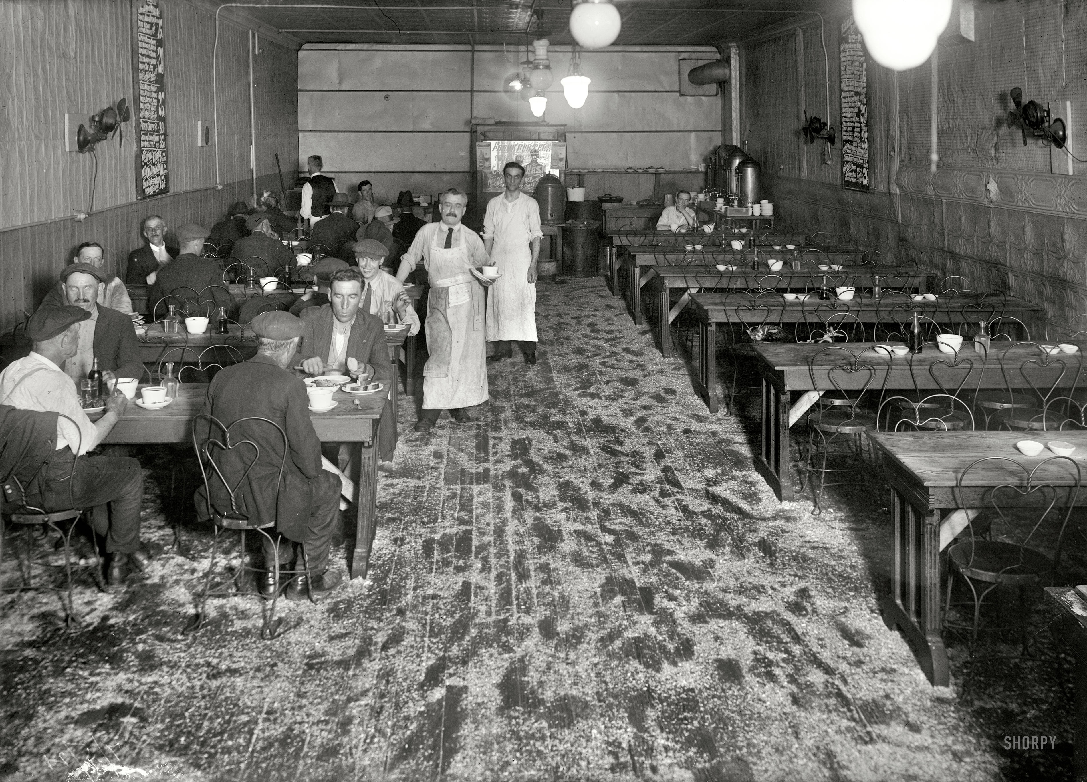 New York, July 5, 1921. "Lanier Hotel restaurant." Fried kidney only 20 cents. Note sleeping mousers. 5x7 glass negative, Bain News Service. View full size.