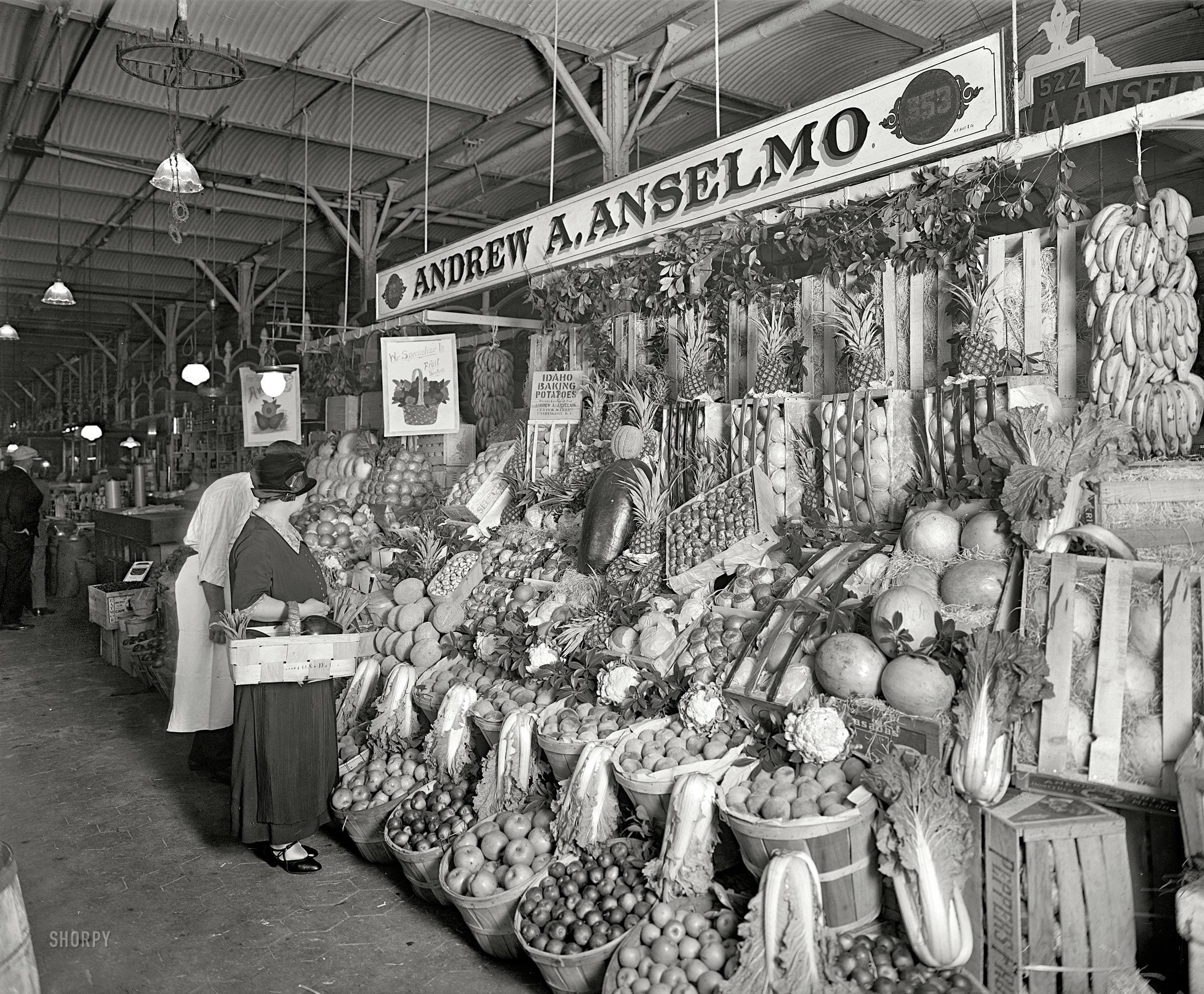 Washington, D.C., circa 1926. "Thos. R. Shipp Co. -- A.A. Anselmo stand, Center Market." Delectable produce from all points of the compass, fetchingly arrayed. National Photo Company Collection glass negative. View full size.