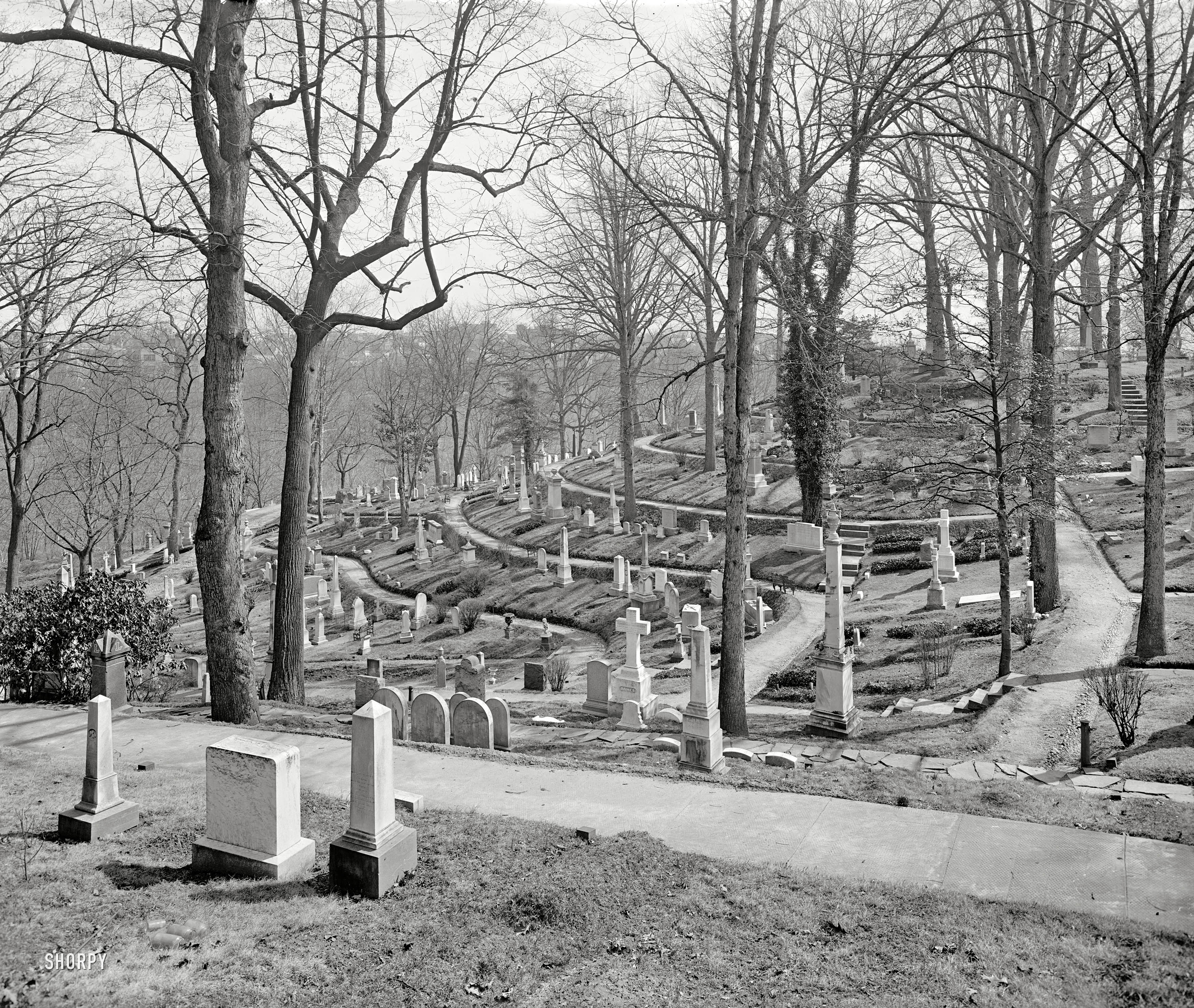 Washington, D.C., circa 1919. "Oak Hill Cemetery, Georgetown." Who can supply us with a current photo from the same vantage point? View full size.