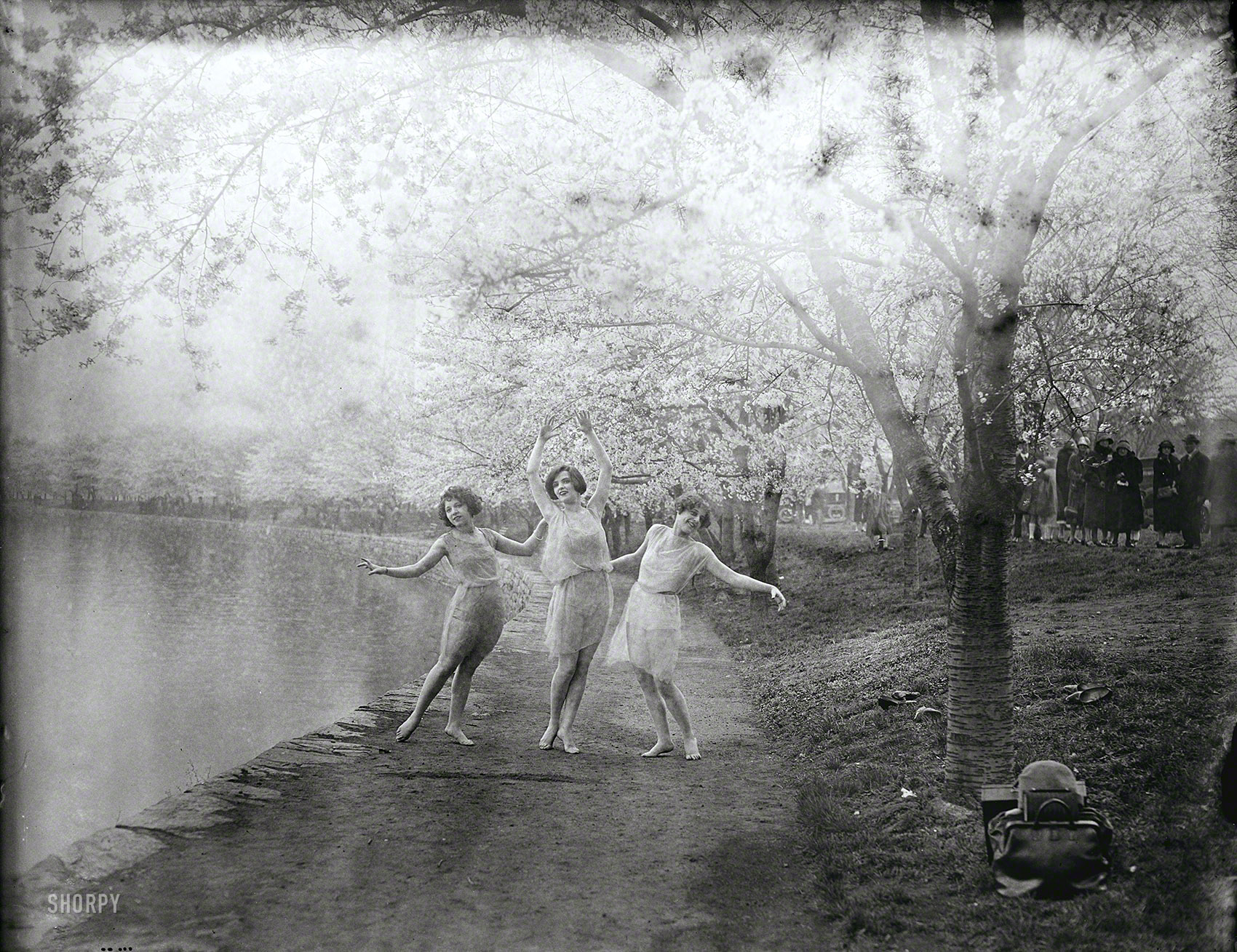 Washington, D.C., circa 1927. "Cherry blossoms -- dancers at Tidal Basin." Ethereally moldy. Harris & Ewing Collection glass negative. View full size.