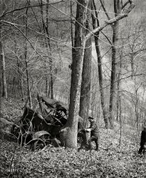 Washington circa 1923. "Auto crash in woods." Continuing our series on vehicular mayhem around the nation's capital. Harris &amp; Ewing photo. View full size.
Committed to a FaultPerhaps the service was a little too "prompt."
Drunk treesSince so many of these accidents involve trees, they must have a drinking problem. Or why is it that drunks have a way of finding trees, no matter how far off the road?
Back to natureOnce the Flivver had glimpsed the sylvan beauty of Rock Creek Park, it could no longer bear the prospect of returning to dodge trams on M Street.
(The Gallery, Cars, Trucks, Buses, D.C., Harris + Ewing)