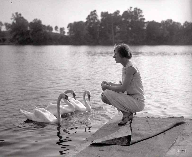 Washington, D.C., 1927. "Woman with swans." Snacktime on the Potomac with a cast of unknowns. Harris &amp; Ewing Collection glass negative. View full size.
