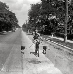 A Boy and His Dogs: 1928