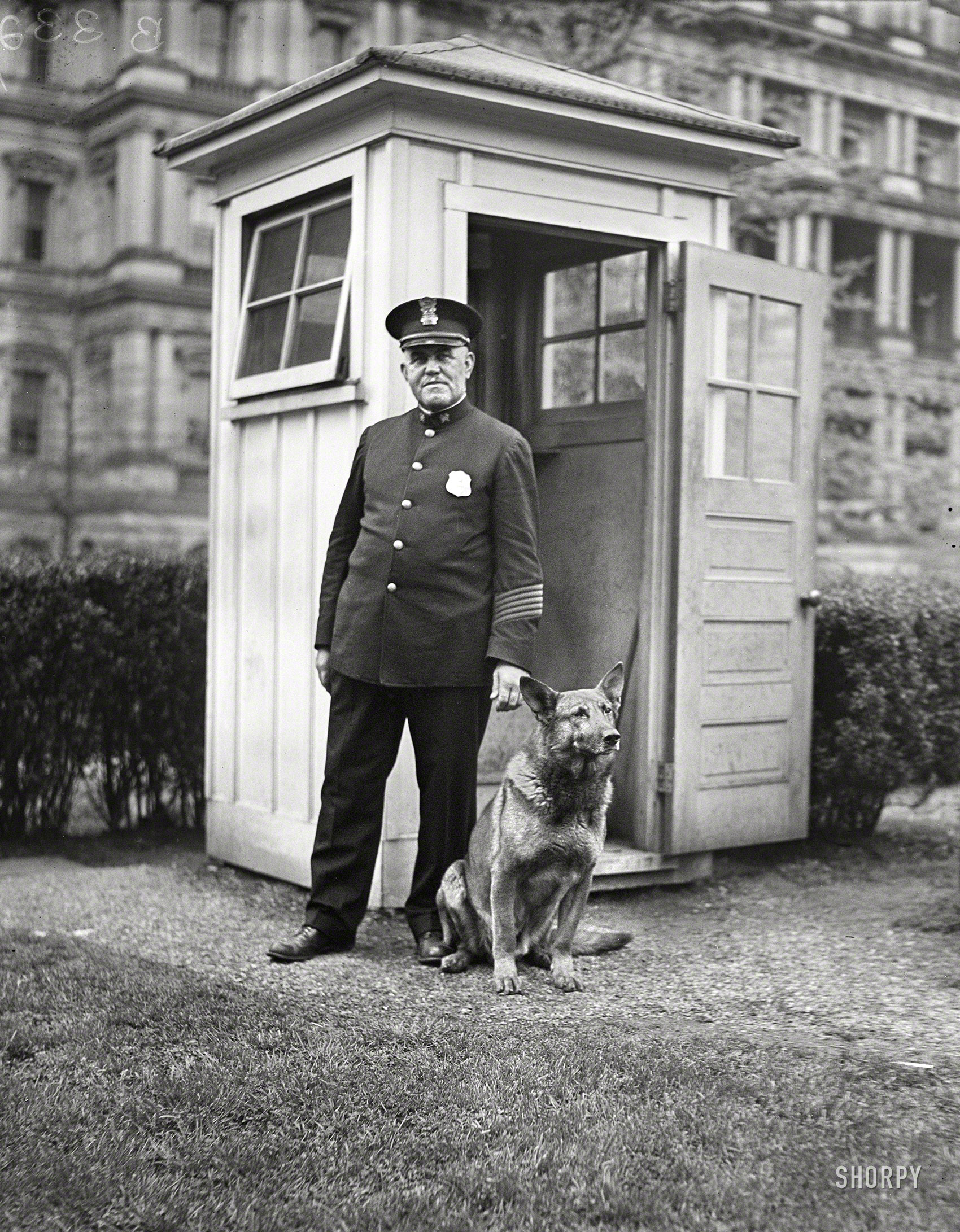 April 12, 1929. "King Tut, President Hoover's big German police dog, now makes the rounds of the sentry boxes in the White House grounds through the night. He is shown with W.S. Newton of the White House police." State, War & Navy building in the background. Harris & Ewing glass negative. View full size.