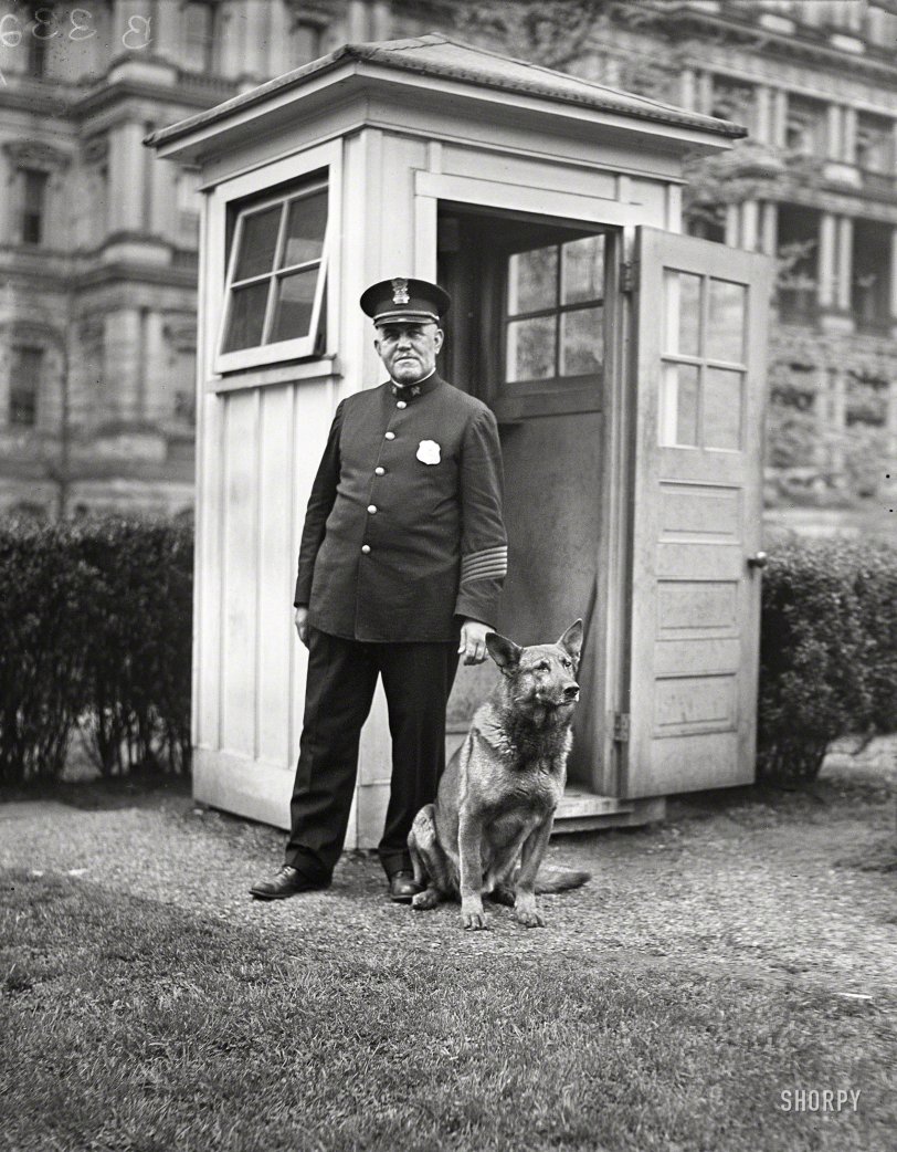 April 12, 1929. "King Tut, President Hoover's big German police dog, now makes the rounds of the sentry boxes in the White House grounds through the night. He is shown with W.S. Newton of the White House police." State, War &amp; Navy building in the background. Harris &amp; Ewing glass negative. View full size.
