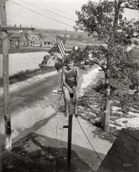 UPDATE: The Library of Congress has given this photo a caption.
September 3, 1929. "Maryland youth breaks pole sitting record. William Ruppert, 14-year-old youth of Colgate, Maryland, as he appeared atop the flagpole in the yard of his home yesterday after breaking the pole sitting record of 23 days set by Shipwreck Kelly. Young Ruppert, who started his sitting on August 1, has worn out three pairs of trousers so far. He says he expects to stay up 30 days more. The pole is 18 feet high." Note the light bulb rigged to the seat. View full size.
ReminiscedA few years back, there was an article in Reminisce magazine about this guy.  It included a recent interview plus additional pictures.
Light bulbNot to mention the series string of lamps leading up the pole! I make out five, with possibly a sixth one at the bottom. The rig on the seat is a 'Y' socket for two, with only one present. What kind of circuit IS that? Not enough for them to be 12V lamps in series across 120V; were 24V lamps common in 1929?
Steel PierThe "art" of pole sitting continued well into the '50's. I remember, as I'm sure many others do, that during the summer months on the old Steel Pier in the OLD Atlantic City, a pole sitter was a prime attraction, along with the diving horse.
There used to be a bank of telephone handsets that allowed people on the ground to talk to the pole sitter, and ask him questions and what not. Food and drink was hoisted up in a basket contraption, and he ( I never remember a female pole sitter) was allowed a bathroom break every so many hours. At night, after the pier was closed to the public for the night, he was supposed to sleep up there for the night, but no one was ever around to verify that.
10 Days in AugustHe must have had good weather.  Ten days in August in Baltimore without thunderstorms is a bit unusual.  Certainly, if there had been a storm he would have been down in no time, if he were smart.
10 days up thereI guess they could send food up to him, but did he get to come down for bathroom breaks?
King For A DayAccording to an August 12, 1929 article in the Baltimore Sun, Jimmy Jones' record only stood for 6 hours before being shattered by Wee Willie Wentworth (12 years). The mayor made a house call to congratulate the latter on his ascension to the throne. 
Back then we didn&#039;t have a Wii, we had to sit on polesEvery time I think we have stupid fads today, I just have to remind myself of pole-sitting. Although, substitute a tree for a pole, and I can name at least one fairly famous latter-day female sitter, Julia Butterfly Hill.
I count seven bulbs in series, but there might be one more hidden near the top. They could be 32-volt bulbs, widely used on farms before the REA, and in railroading.
What about school?The updated information states that William planned to stay up on the pole for another 30 days.  Since this photo is updated to September 3rd, are we to assume young William has dropped out of school, in favor of a career choice that starts out "at the top" and stays there?
Series stringIt looks like a common (then) 8-lamp string for Christmas trees, the kind usually fitted with C6 type bulbs.
(The Gallery, Harris + Ewing)