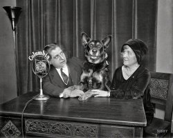 The Dog Show: 1930