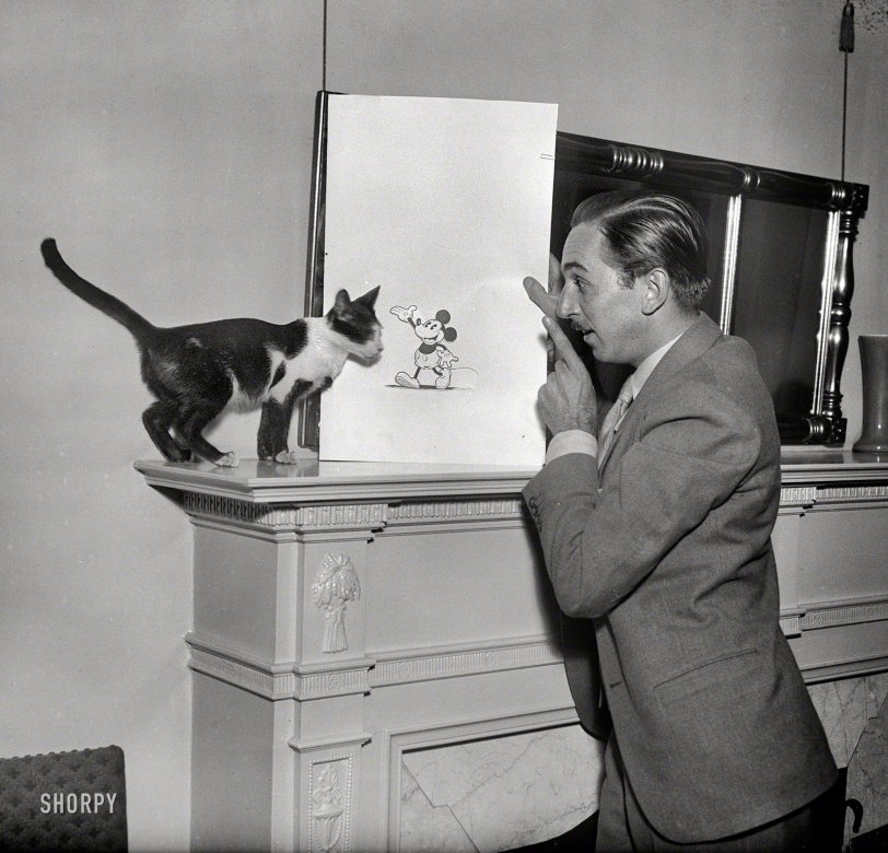 Washington, D.C., circa 1931. "Walt Disney with Mickey Mouse drawing." One day he'll be bigger than you, cat! Harris & Ewing glass negative. View full size.