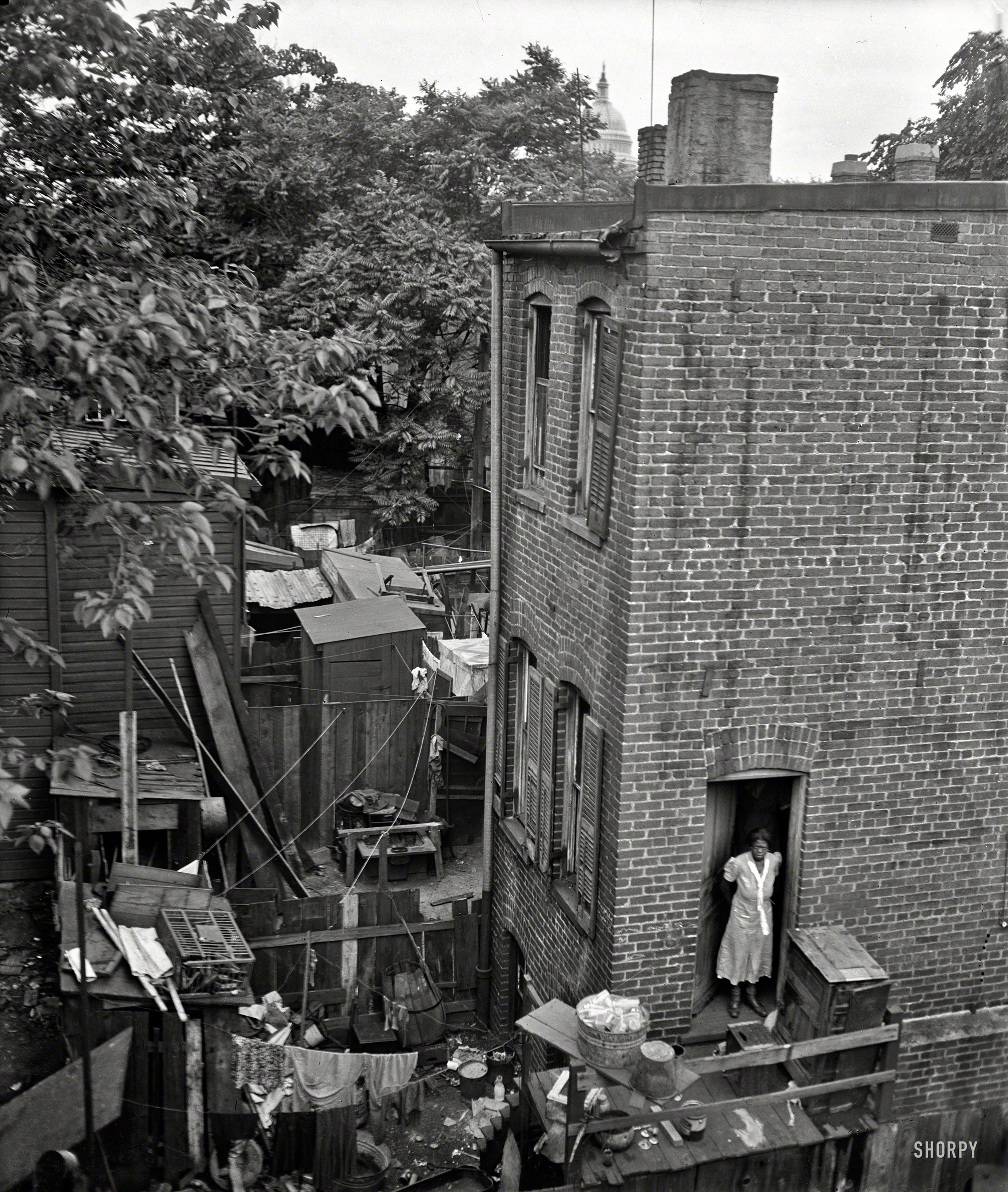 Summer 1935. "Washington, D.C., alley dwelling. The clutter of filth, debris and tin cans all have highly utilitarian purposes. Many of the houses are without gas, water, or electric connections." Note the Capitol dome at the top of the frame. Our second look at this abode. Harris & Ewing glass negative. View full size.