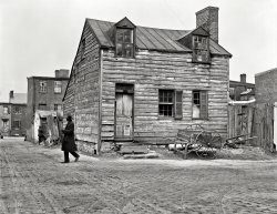 Washington, D.C., 1923. "City houses." One in a series of Harris & Ewing plates documenting the national capital's poorer quarters. View full size.