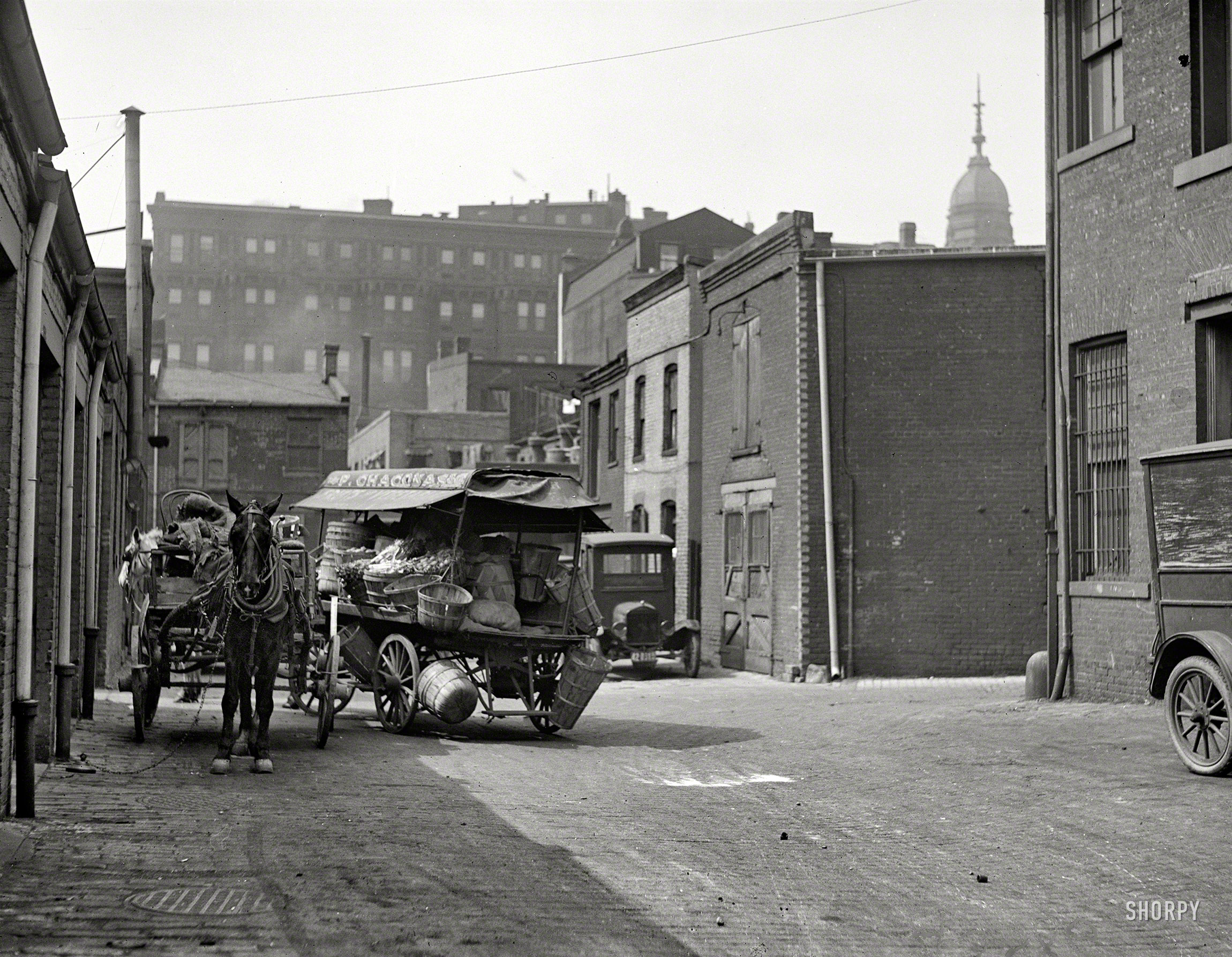"Produce wagon in city, 1923." One in a series of Harris & Ewing plates showing the alleys and backstreets of Washington, D.C. The subject here is a Chaconas grocery wagon. Who can identify the dome? 4x5 glass negative. View full size.
