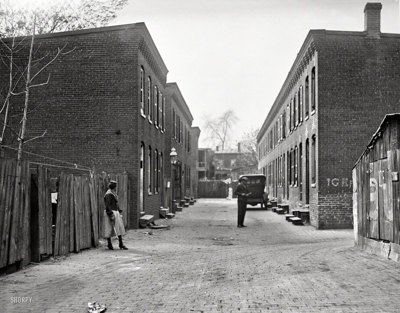 "City rowhouses, 1923." The latest stop on our back-alley tour of Washington, D.C., in a neighborhood convenient to ice. Harris &amp; Ewing negative. View full size.
