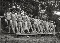 Babes in the Woods: 1924
