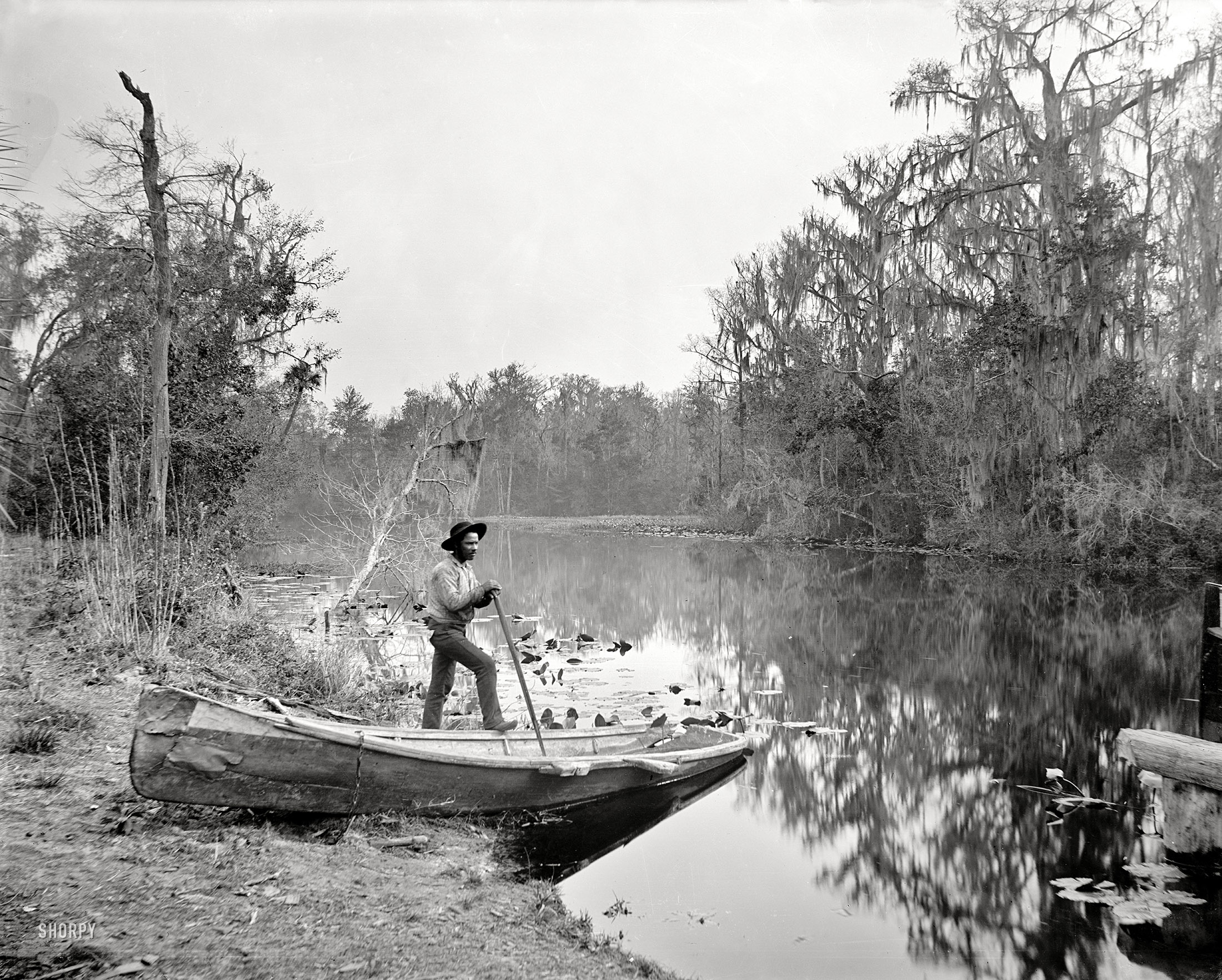 Putnam County, Florida, circa 1890s. "Rice Creek near Brown's Landing." A tributary of the St. Johns River near Palatka. 8x10 inch glass negative by William Henry Jackson. View full size.