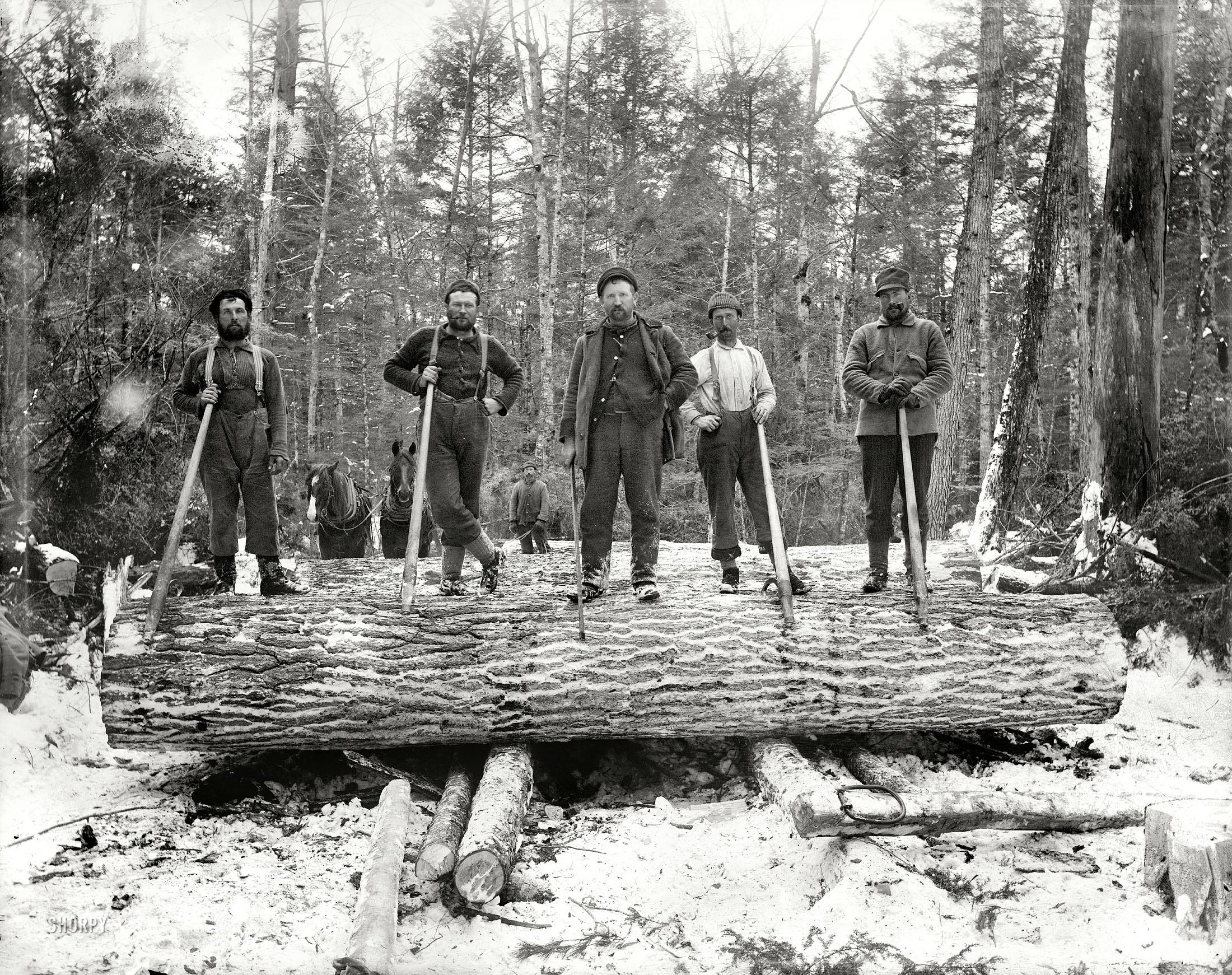 Upper Michigan circa 1899. "The loggers." 8x10 inch dry plate glass negative, Detroit Publishing Company. View full size.