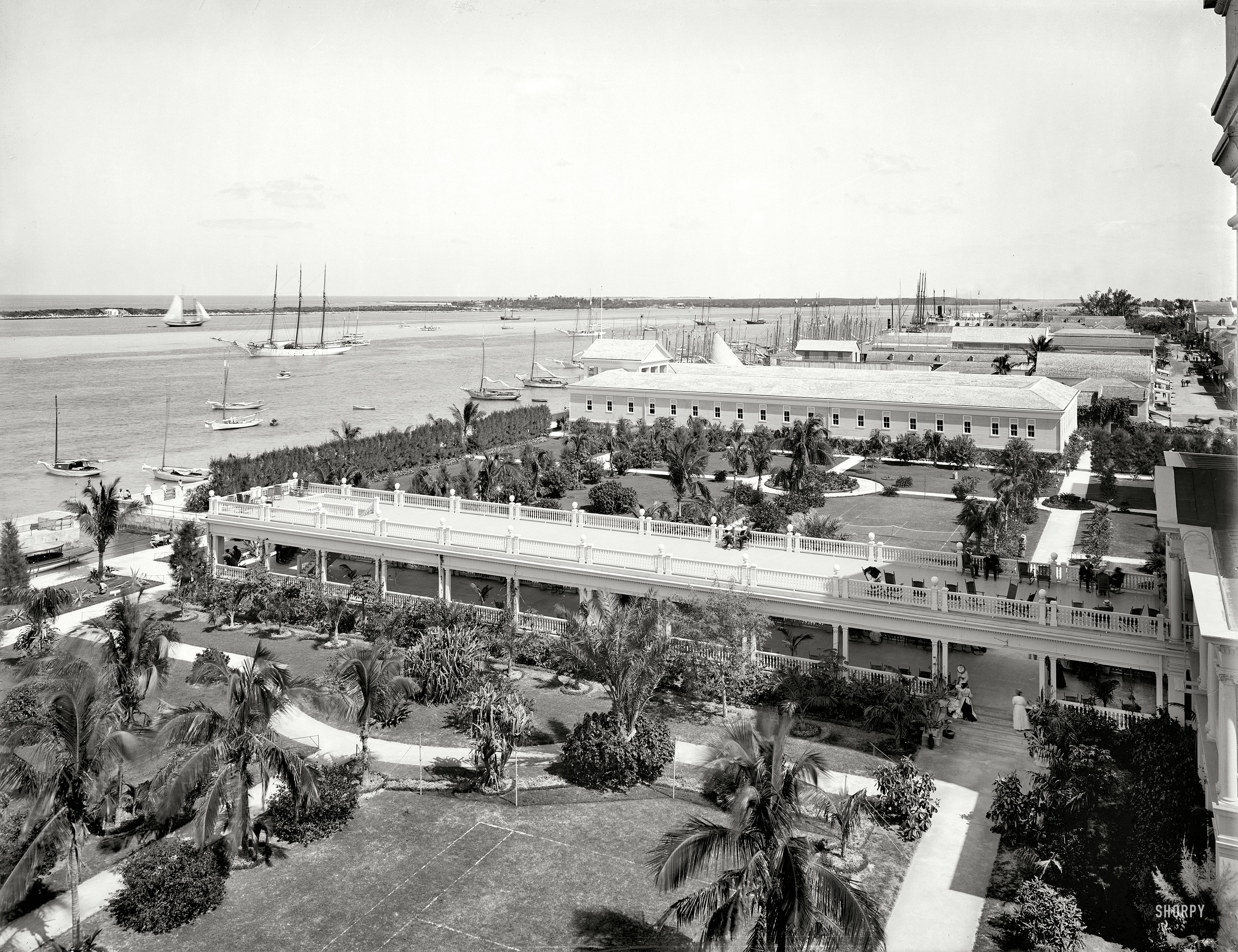 Circa 1904. "Gardens of Colonial Hotel and the harbor, Nassau, Bahama Islands." 8x10 inch dry plate glass negative, Detroit Publishing Company. View full size.