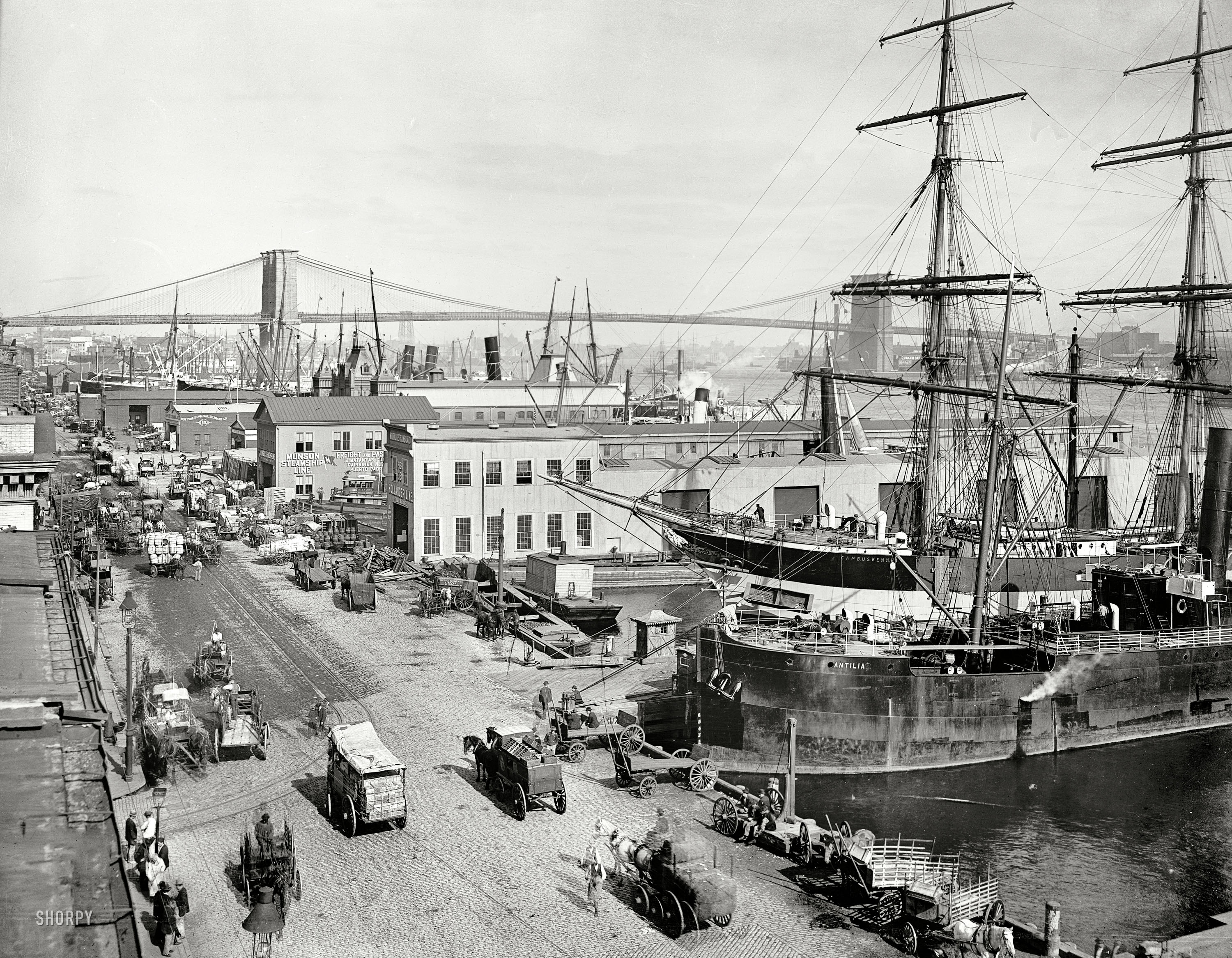 New York circa 1901. "South Street and Brooklyn Bridge." 8x10 inch dry plate glass negative, Detroit Publishing Company. View full size.