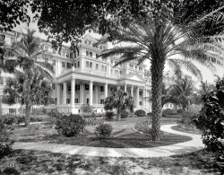 Palm Beach circa 1901. "The Royal Poinciana, from northwest." A mere fraction of Henry Flagler's immense hotel, at one time the largest wood-frame structure in the world. 8x10 glass negative by William Henry Jackson. View full size.
