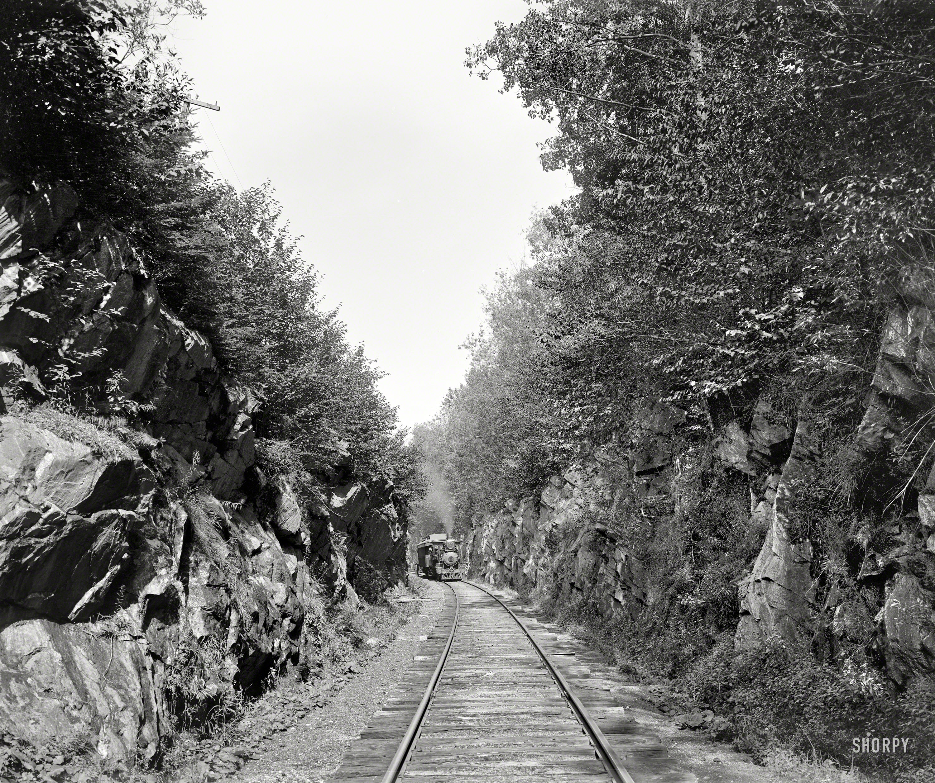 Vermont circa 1904. "Summit Cut, Green Mountains. Rutland R.R. Photographers' Special." A long shot of the engine seen here hauling a carload of shutterbugs. 8x10 inch glass negative, Detroit Photographic Company. View full size.