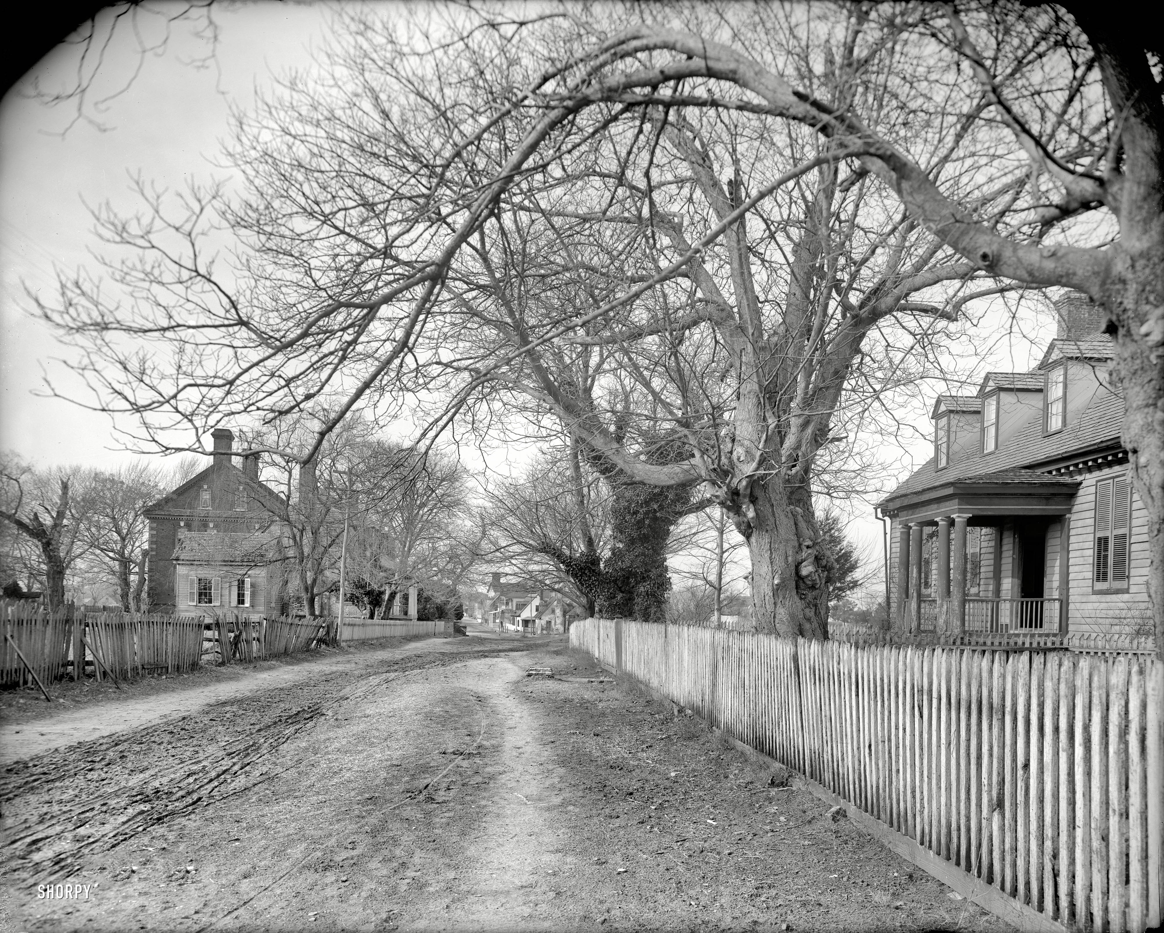 Circa 1903. "A street in Yorktown, Virginia." 8x10 glass negative by none other than William Henry Jackson. Detroit Photographic Company. View full size.