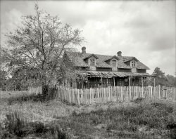 Jacksonville, Florida (vicinity), circa 1905. The unfortunate title for this one in the Detroit Publishing catalog: "A Darky Homestead." Note the birdhouse on the dormer. 8x10 inch glass negative, Detroit Publishing Company. View full size.