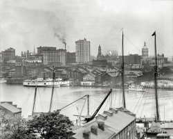 Maryland circa 1903. "Baltimore from Federal Hill." Along with a word from our sponsor. 8x10 inch glass negative, Detroit Publishing Co. View full size.